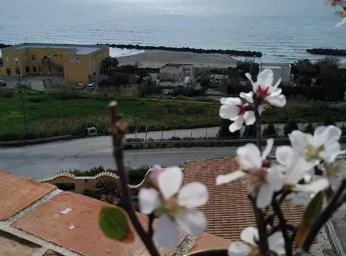 Mansarda Mare Red Шакка